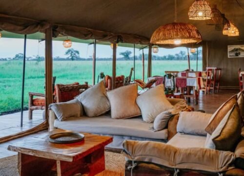 4-Day Tanzania Safari Adventure: Serengeti & Ngorongoro Crater