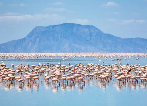 4-Day Tanzania Safari: Tarangire, Ngorongoro Crater & Lake Natron