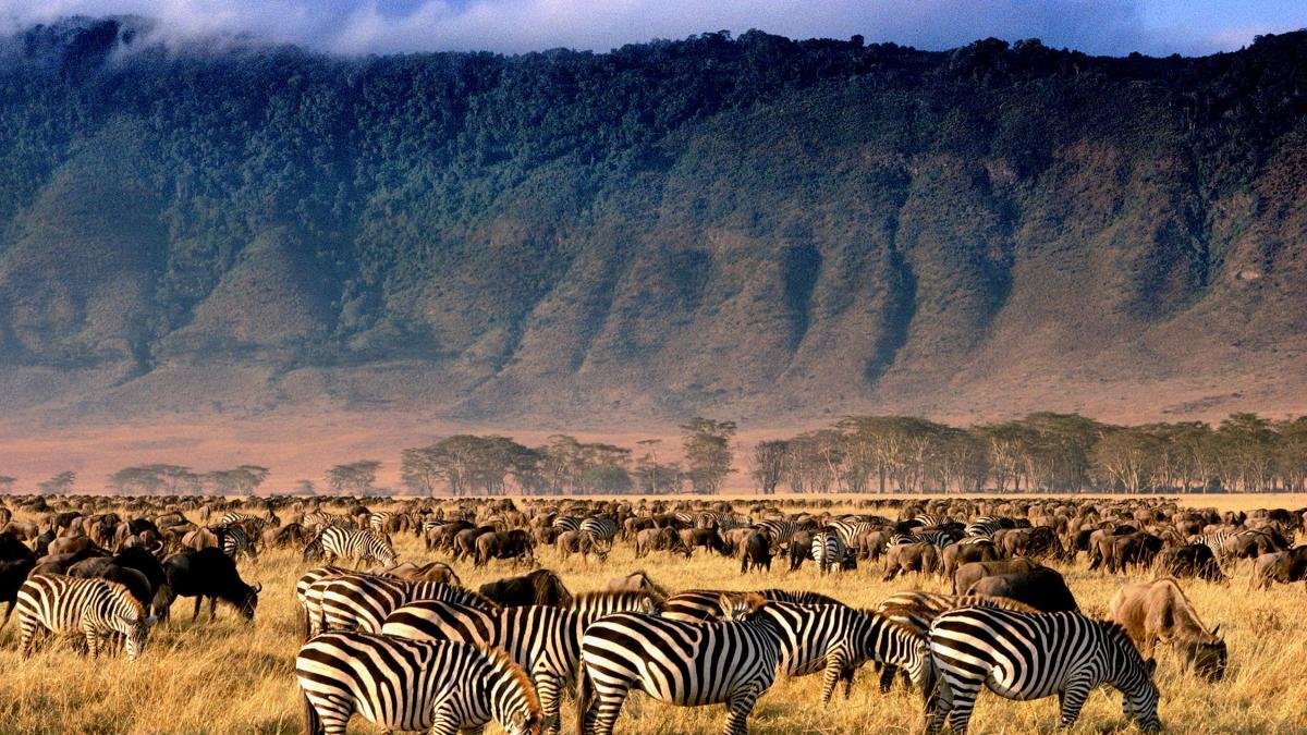 3-Day Tanzania Safari Adventure: Tarangire National Park, Ngorongoro Crater & Lake Eyasi