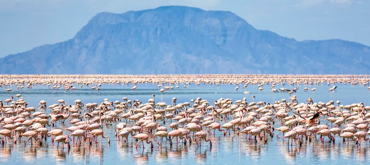 LAKE NATRON