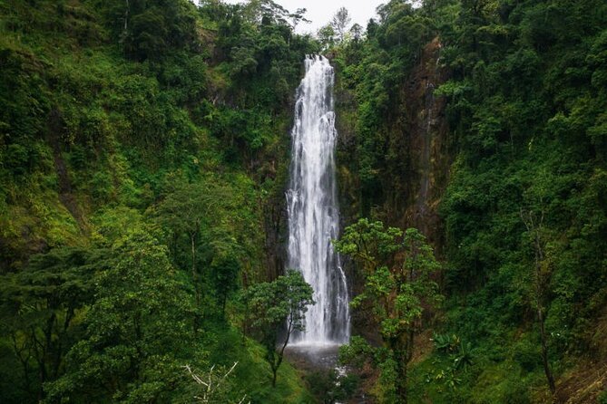 MATERUNI WATERFALLS AND COFFEE TOUR