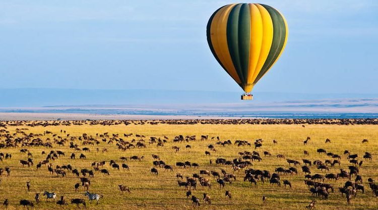 SERENGETI NATIONAL PARK