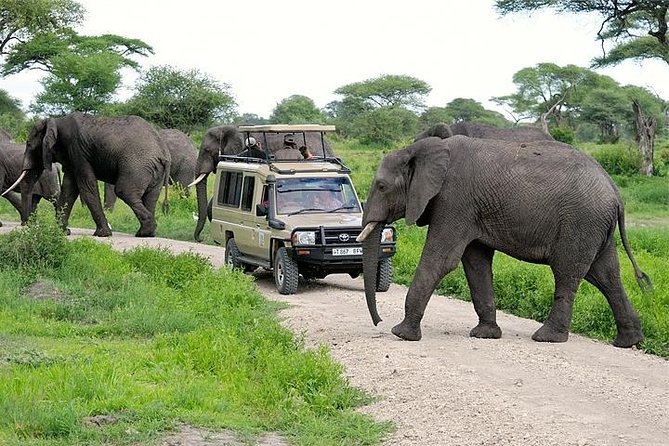 TARANGIRE NATIONAL PARK